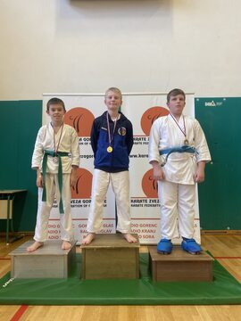 Tian Šakanović 1. meso v borbah